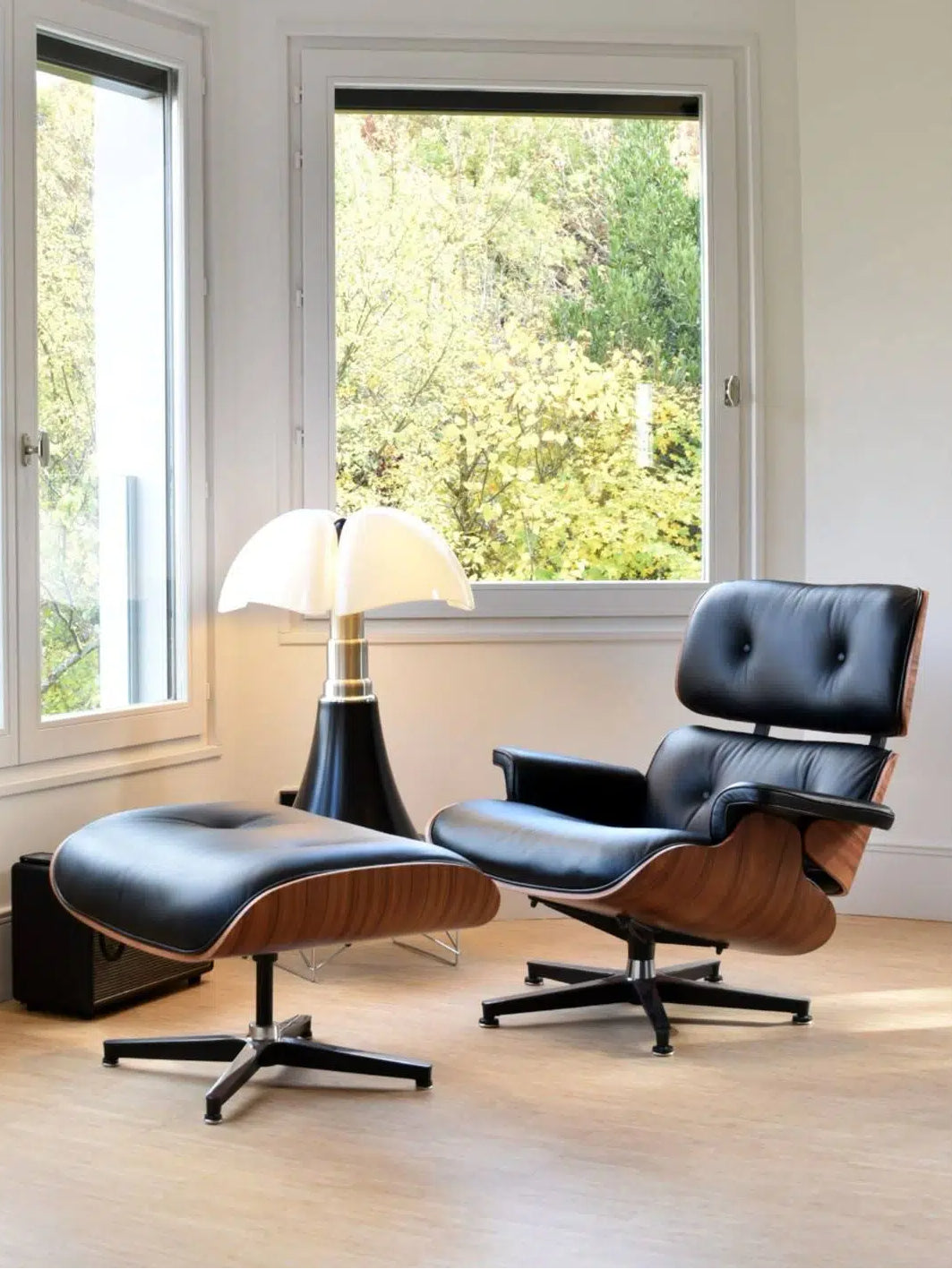 Vitra Eames Lounge Chair WIth Footstool